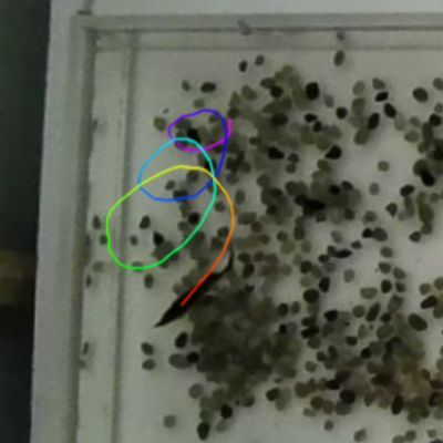 Dense Tank